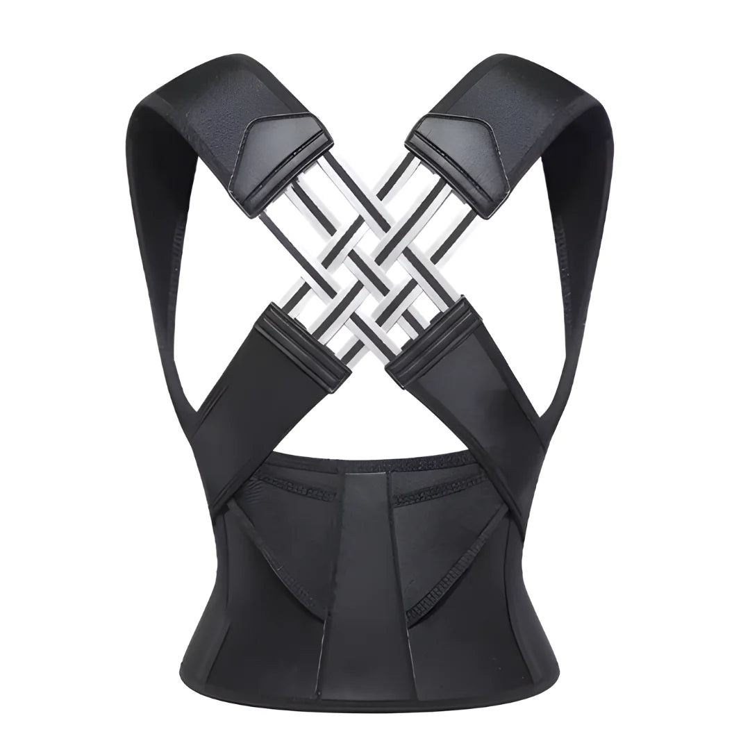 Back Support Brace