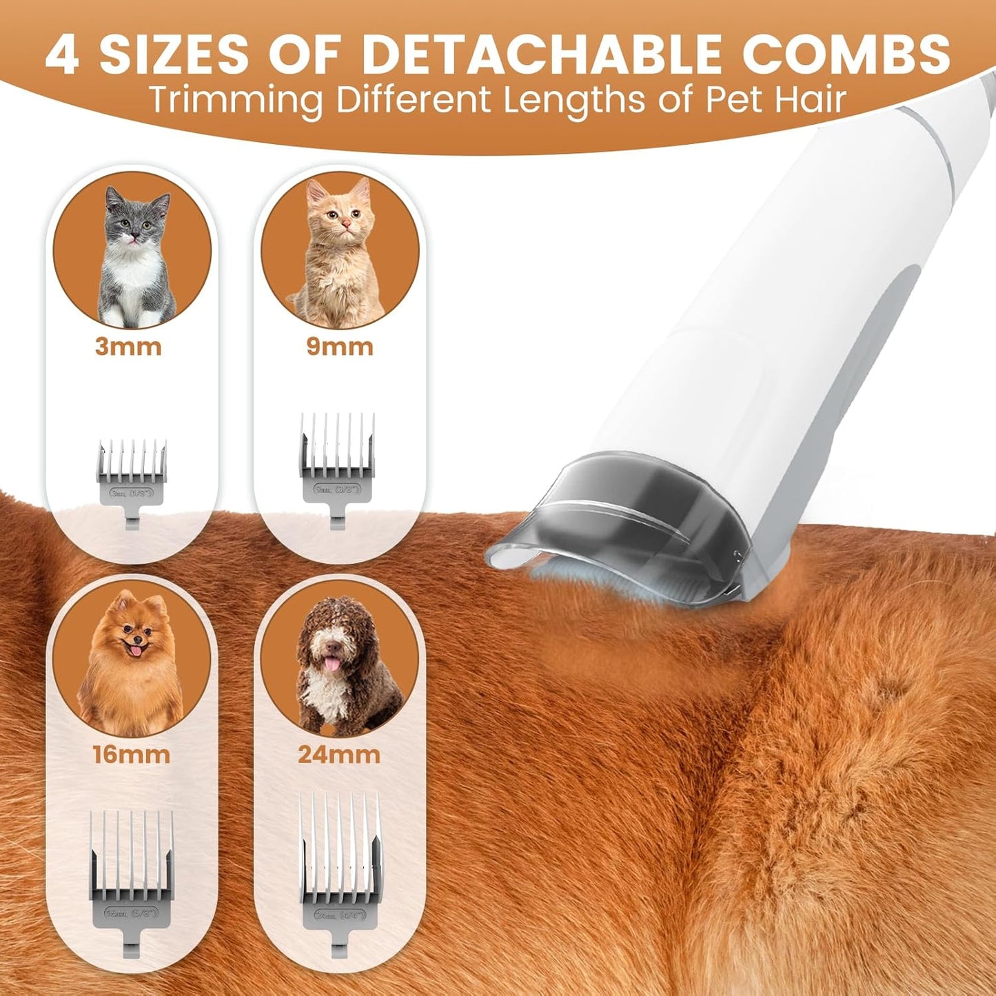 Furgone™ | GroomVac